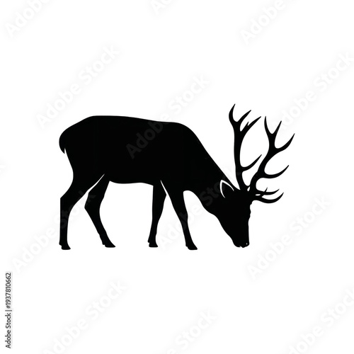 Deer Shiloutte Illustrator or Ai art jpg