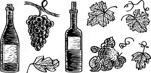 Set of wine bottles and grape clusters sketch for retro design and decoration