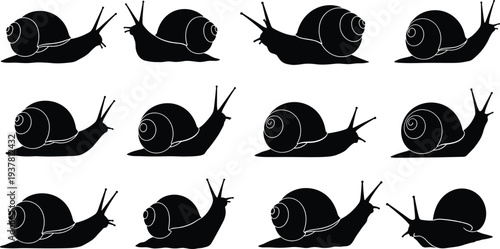 Set of twelve black snail silhouettes crawling in different positions isolated on white background for slow movement speed nature and gastropod concepts