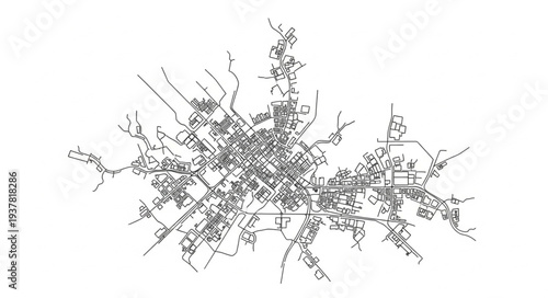 Black and White Snowflake Closeup.