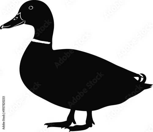Black and white silhouette of duck facing left with distinct beak, eye, and feather details, symbolizing wildlife, nature, simplicity, and educational illustration design