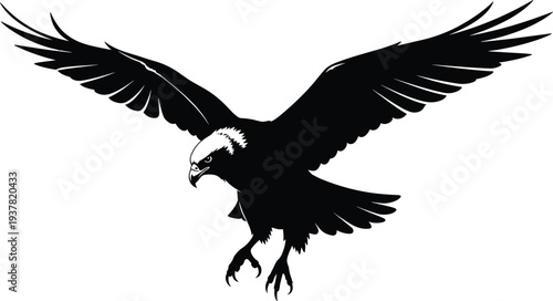 PrintPowerful black and white silhouette of bald eagle soaring with wings spread and talons extended, symbolizing freedom, patriotism, wildlife strength, and national emblem inspirationv