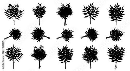 Collection of black botanical plant silhouettes on white background for design and decoration