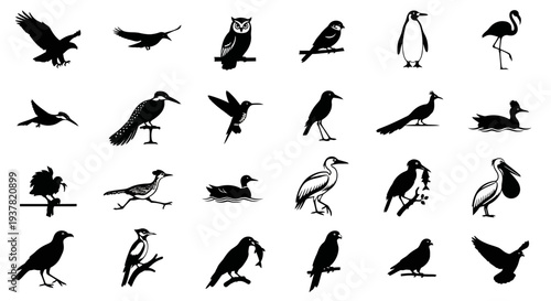 Collection of various bird silhouettes on white background including penguins owls and other species in different poses
