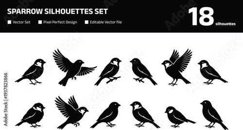 Sparrow silhouettes set with small songbird icons featuring various flying perching and standing poses for nature wildlife and garden bird watcher design projects