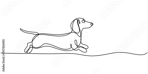 Continuous line drawing of a happy running dachshund dog on a white background. Vector, illustration