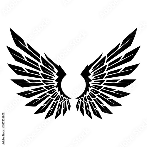 Black and White Abstract Wings with Feathers – Symmetrical Minimalist Graphic Design
