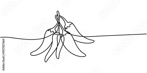 Continuous single line drawing of hot chili vector illustration design, Continuous one line drawing of hot red chili pepper graphic design. Single line art illustration of spicy chili pepper, Mirchi.