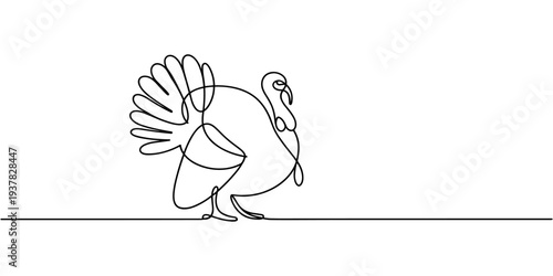Male wild turkey continuous one line drawing, One continuous line.Turkey bird. Holiday symbol. Thanksgiving Day. One continuous line on a white background, turkey bird single line drawing vector, pro.