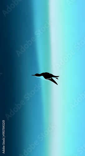A silhouette of a bird dives headfirst into the deep blue water, against a gradient sky.