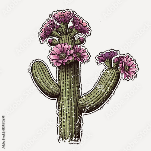 Blooming Saguaro Cactus with Pink Flowers, Vintage Illustration
