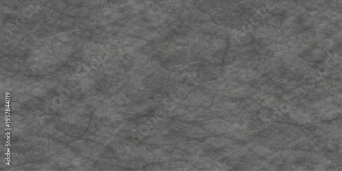 Abstract a striking close-up of a weathered, textured gray surface, evoking a sense of age, resilience, and the passage of time.