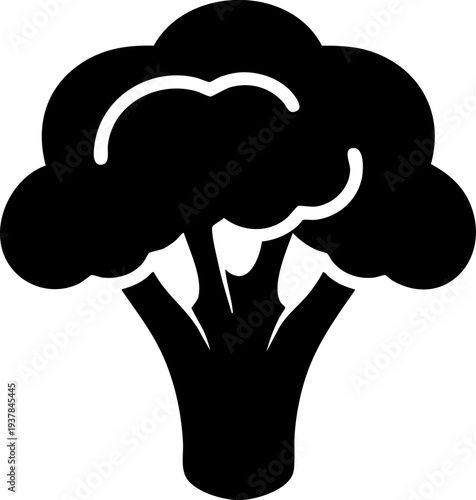 Fresh broccoli vegetable graphic