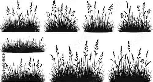 Foto Set of grass and wildflower silhouettes isolated on light background, detailed black vector illustration collection for meadow landscapes, natural borders, and botanical design projects