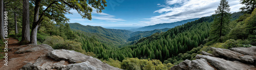 Panel kuchenny z motywem Panoramic forest mountain landscape with rocky foreground, lush green trees, blue sky, and distant valley view