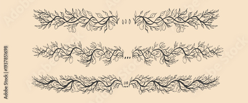Lemon tree branch leaves doodle ink text dividers. Whimsical page underline emphasis border elements with decorative leaf, citrus fruit. Hand-drawn foliage motif. Vector text separator set isolated.
