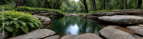 Panel kuchenny z motywem Serene forest pond surrounded by lush green ferns, large flat stones, and tall trees, peaceful natural landscape, tranquil atmosphere