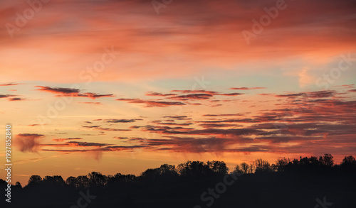 Trees on the hill and colorful morning sky