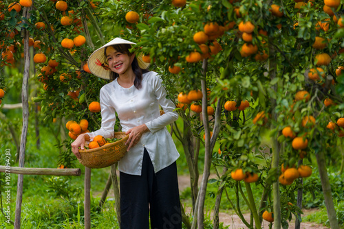 Vietnamese girl portrait in ripe tangerine garden wearing conical hat