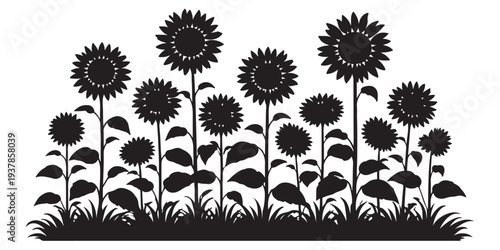 Sunflower Garden Field Silhouette, Silhouette Vector, Isolated on White Background