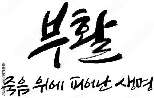 부활 죽음 위에 피어난 생명