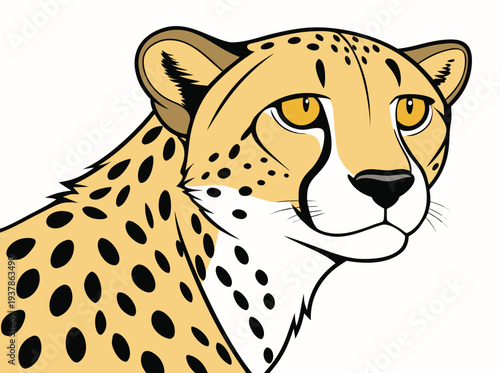 Vector illustration of Close up portrait of a cheetah with spots looking sideways wildlife illustration