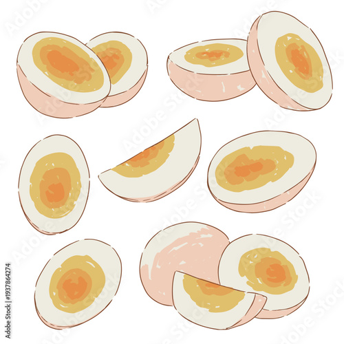 Hand drawn boiled eggs vector illustration