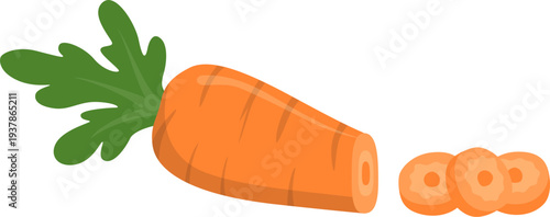 Cartoon Carrot with Slices