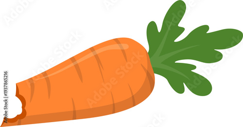 Bitten Carrot Illustration