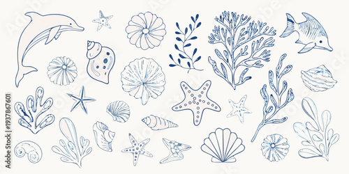 Delicate blue line drawing of marine life and botanical elements