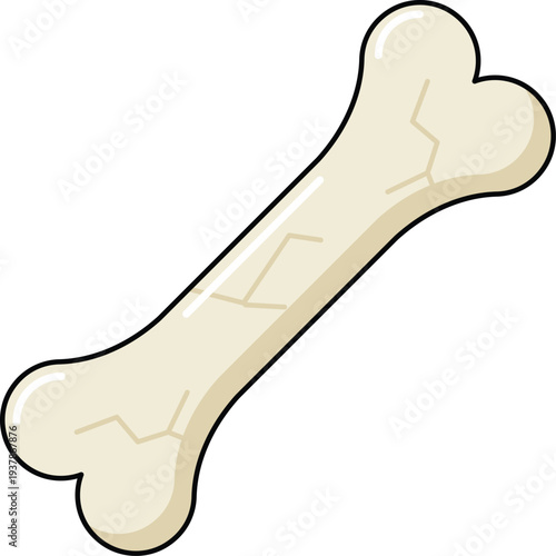 design Bone Crack illustration icon