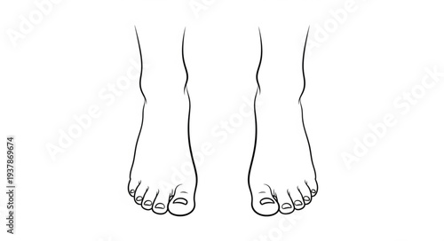 Detailed illustration of two human feet, showcasing toes and overall structure.