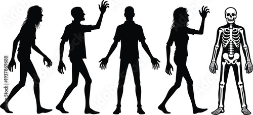 Zombie Evolution Silhouette Set with Human to Skeleton Transformation, Scary Undead Halloween Horror Characters Collection Isolated on White Background Vector Illustration