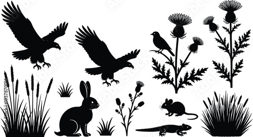 vBlack silhouette collection of wild meadow animals and plants including eagles rabbits mice lizards birds thistles and cattails isolated on white background for 