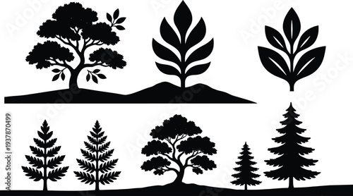 Black tree silhouettes set with various deciduous oak pine and fern leaf elements isolated on white background for nature forest landscape vector design