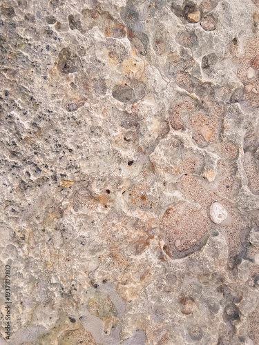Coastal rocks and sea water as a natural background.