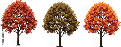 Set of three autumn deciduous trees with vibrant red orange and brown foliage for seasonal nature landscaping fall forest environment and park greenery design