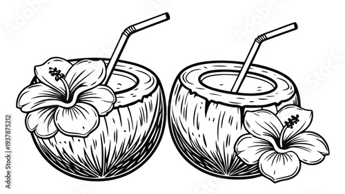 Vector illustration of Refreshing Tropical Coconut Drinks with Hibiscus Flowers - Summer Vacation Vector