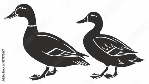Vector illustration of Mallard Ducks Silhouette Vector Illustration Set - Wild Waterfowl