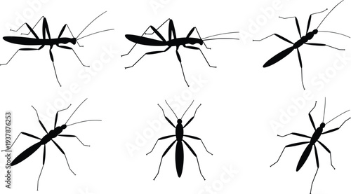 Sailboat yacht silhouette set, nautical vessel icons, marine transport flat vector illustration, maritime sailing boat ship collection, cad drawing flat vector illustration