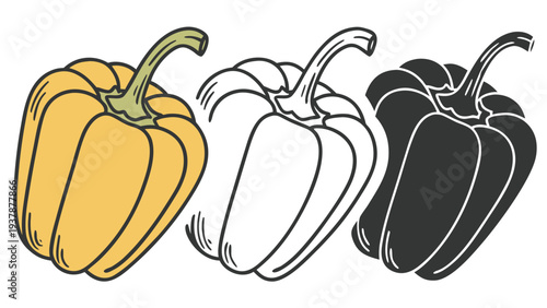 Vector illustration of Yellow Bell Pepper in Three Styles: Color, Outline, Silhouette