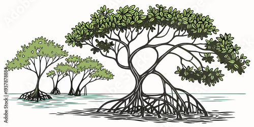 A group of trees with exposed roots on a plain Vector