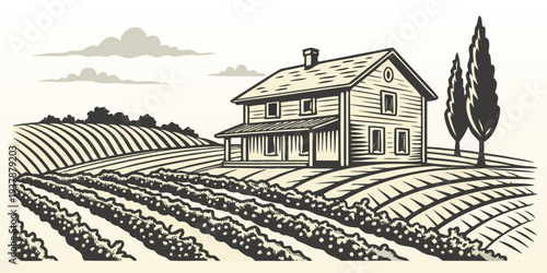 A house on a farm with rows of crops Vector