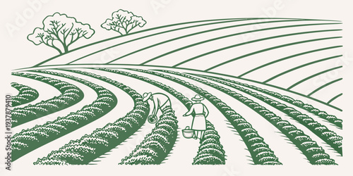 A green and white image of a field with rows of crops and a tree Vector