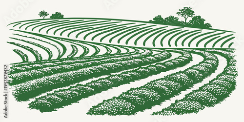 A green field with rows of crops and trees Vector