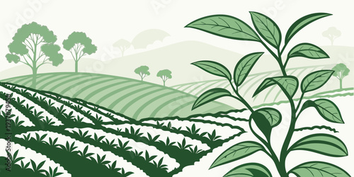 A green tea plantation with rolling hills and trees Vector