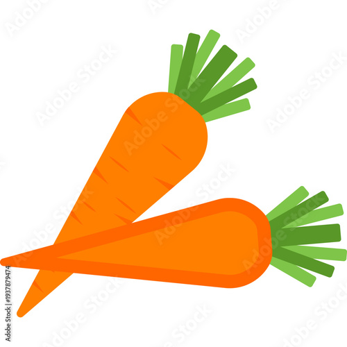 Two Carrots Illustration