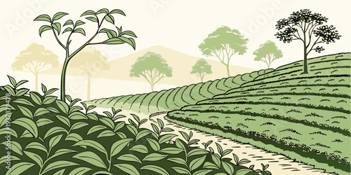 A green field with trees and a dirt road Vector