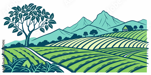 A green tea plantation in the mountains Vector