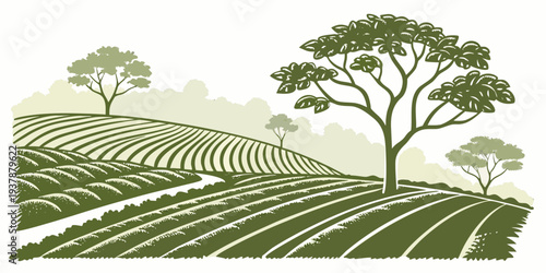 A green landscape with trees and rows of crops Vector